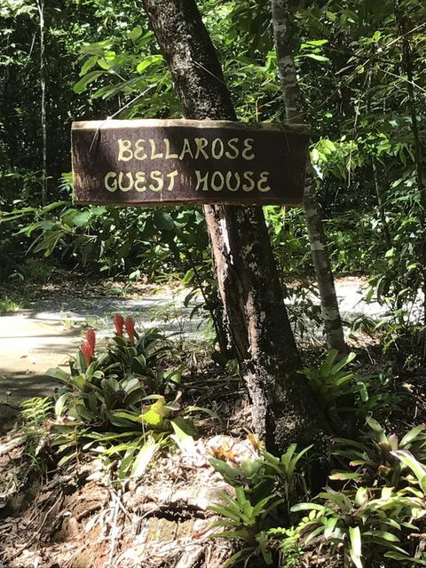 Bellarose Guest House - Accommodation Search 3