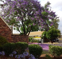Belvoir Village Motel  Apartments Wodonga - Accommodation Search