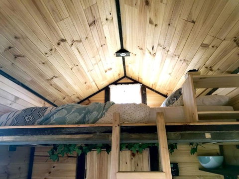 Big Tiny Altitude Tiny House Experience - Accommodation Search 3