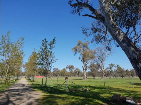 Big Tiny Jindera Park - Accommodation Search 3