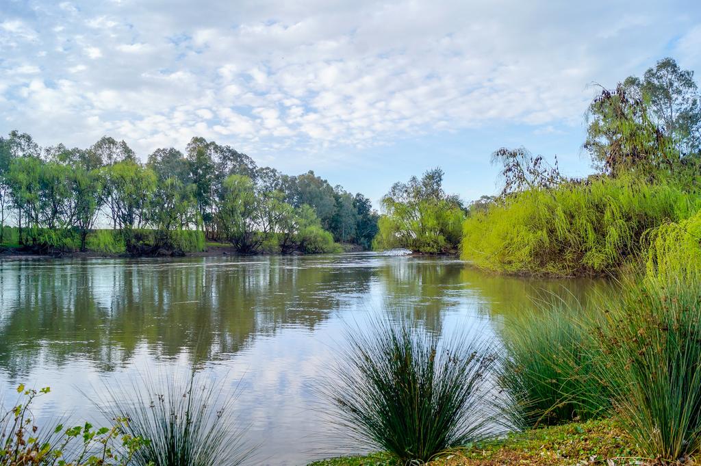 Wallacetown NSW Accommodation Search