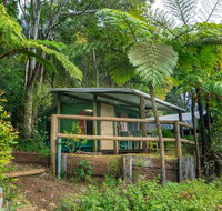 Binna Burra Rainforest Campsite - Accommodation Search