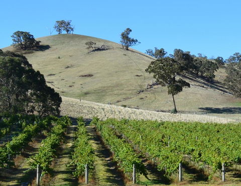 Blue House At Mountainside Wines - Accommodation Search 3