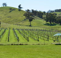 Blue House at Mountainside Wines - Accommodation Search