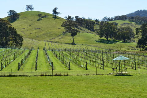 Blue House At Mountainside Wines - Accommodation Search 0