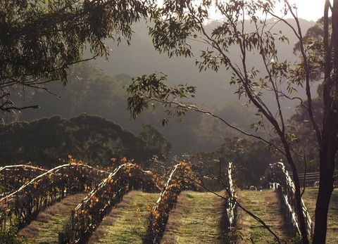 Blue House At Mountainside Wines - Accommodation Search 2