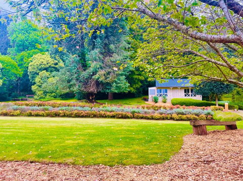 The Mountain View Cottage - Accommodation Search 3