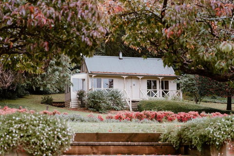 The Mountain View Cottage - Accommodation Search 0