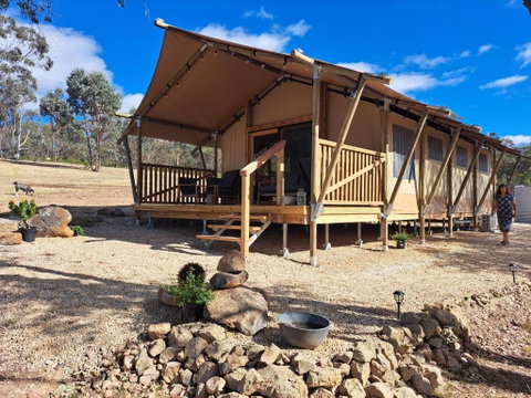The YellowBoxWood Heathcote - Echidna Ridge And Emu Valley Tents X 2 - Accommodation Search 1