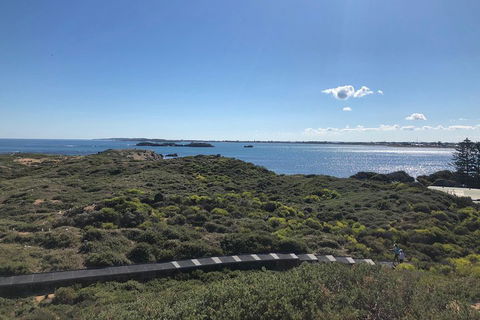 Penguin Island And Fremantle - Canoe, Chocolate & Coffee - Accommodation Search 0