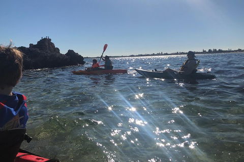 Penguin Island And Fremantle - Canoe, Chocolate & Coffee - Accommodation Search 1