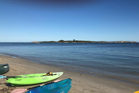 Penguin Island And Fremantle - Canoe, Chocolate & Coffee - Accommodation Search 2
