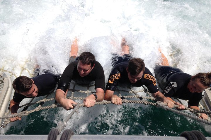  Accommodation Search