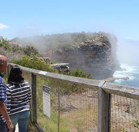 Sydney Shore Excursion Half-Day Sydney City Highlights with Bondi Beach and Watsons Bay - Accommodation Search