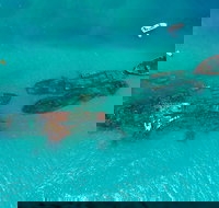 Private Tangalooma Wrecks Tour - Accommodation Search