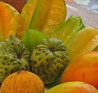 Private Half Day Tour Exclusive World Heritage Rainforest and Waterfall Tour from Cairns - Accommodation Search