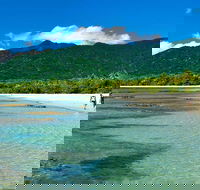 5-Day Best of Cairns with Daintree Kuranda and Great Barrier Reef - Accommodation Search