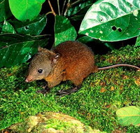 3-Day Small-Group Tour of North Queensland with Pick Up - Accommodation Search