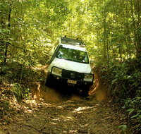 Cairns National Park Rainforest and Waterfall Small Group Tour Shore Excursion - Accommodation Search