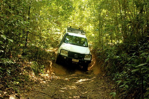 Cairns National Park Rainforest And Waterfall Small Group Tour Shore Excursion - Accommodation Search 0