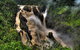Cairns National Park Rainforest And Waterfall Small Group Tour Shore Excursion - thumb 1
