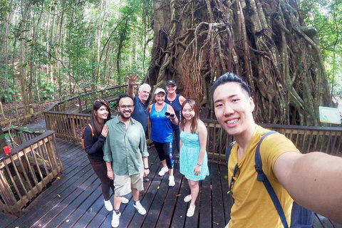 Cairns National Park Rainforest And Waterfall Small Group Tour Shore Excursion - Accommodation Search 2