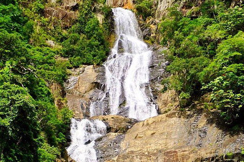Cairns National Park Rainforest And Waterfall Small Group Tour Shore Excursion - Accommodation Search 4