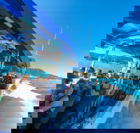 Whitehaven Beach Day Tour with Snorkel in Whitsundays Island - Accommodation Search