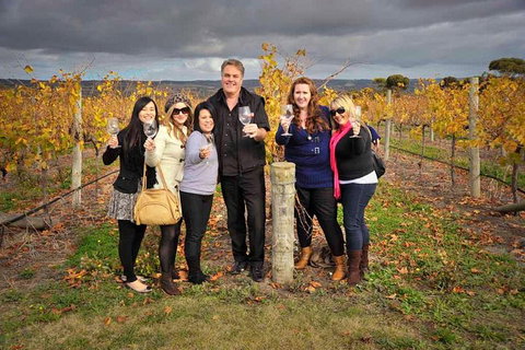 McLaren Vale Winery Small Group Tour With Wine Tasting And Lunch - Accommodation Search 3