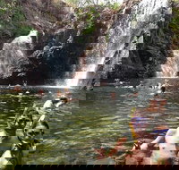 Litchfield National Park and Jumping Crocodile Cruise - Accommodation Search