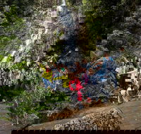 5-Day Lap of Tasmania Tour from Hobart flexible ticket - Accommodation Search