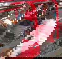 Full-Day Private Blue Mountains Tour with River Cruise - Accommodation Search