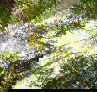 Fraser Island 4WD Tour from Noosa - Accommodation Search