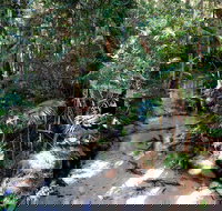 Fraser Island 4WD Tour from Rainbow Beach - Accommodation Search