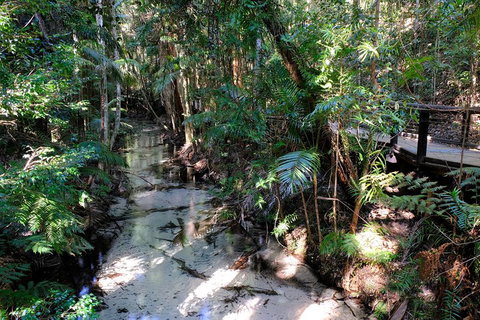 Fraser Island 4WD Tour From Rainbow Beach - Accommodation Search 0