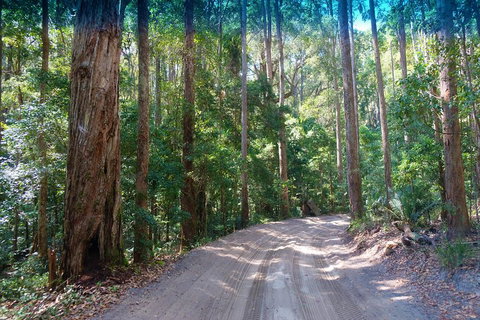 Fraser Island 4WD Tour From Rainbow Beach - Accommodation Search 4
