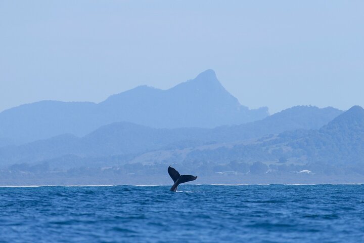  Accommodation Search