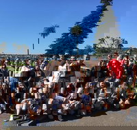 7-Day Tour in Sydney with Airport Pickup - Accommodation Search