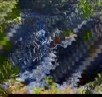 Byron Bay Hinterland Tour Including Rainforest Walk to Minyon Falls - Accommodation Search