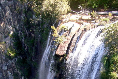 Byron Bay Combo: Hinterland Tour Including Minyon Falls And Kayaking With Dolphins - Accommodation Search 3