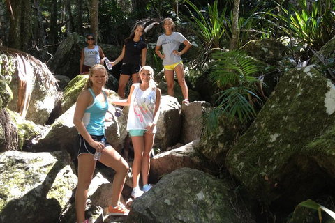 Byron Bay Combo: Hinterland Tour Including Minyon Falls And Kayaking With Dolphins - Accommodation Search 4