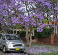Sydney Secrets  Bondi Beach Private 4 Hr Morning with Personalised Sydney Tours - Accommodation Search