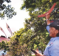 illi-Langi The Rocks Aboriginal Dreaming Tour - Accommodation Search