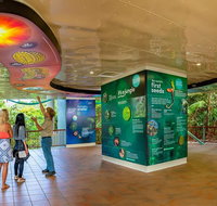 Skyrail  Kuranda Train Day Trip from Cairns - Accommodation Search