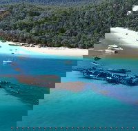 All Inclusive Tangalooma Wrecks Cruise Tour From Gold Coast - Accommodation Search