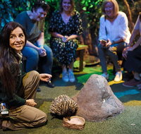 Sydney Taronga Zoo's Australian Animals Tour - Accommodation Search