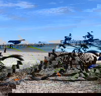 Adelaide City to Sea Bike Tour - Accommodation Search