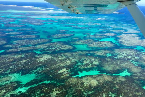 Shipwreck Special Full Day Tour Of The Abrolhos Islands - Accommodation Search 1