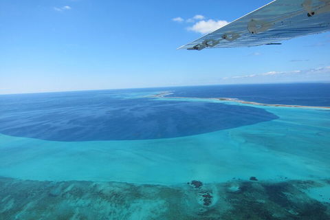 Shipwreck Special Full Day Tour Of The Abrolhos Islands - Accommodation Search 2