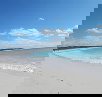 Shipwreck Special Nature Tour/Half Day Tour - Accommodation Search